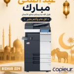 Bizhub 224