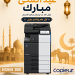 Bizhub 300i