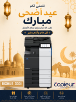Bizhub 300i