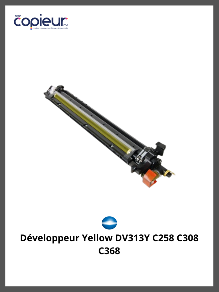 Développeur Yellow DV313Y C258 C308 C368 – Image 2